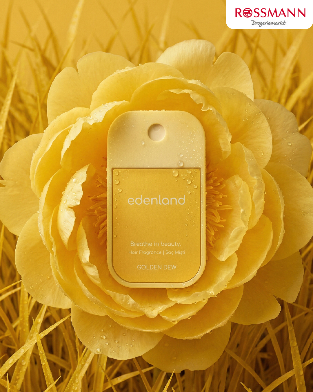 Eden Land hair fragrance